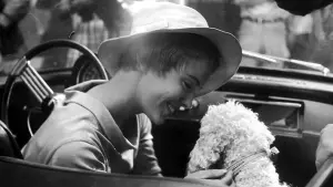 Задник до фильму"" #445929