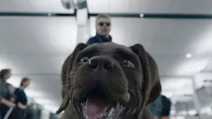 Задник до фильму"" #429799