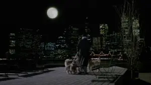 Задник до фильму"Зачаровані Місяцем" #714811