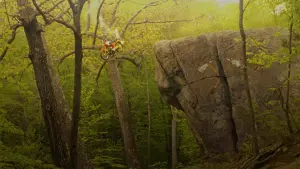 Задник до фильму"Королiвство повного мiсяця" #201680