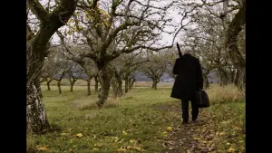 Задник до фильму"So Long, Farewell" #782399