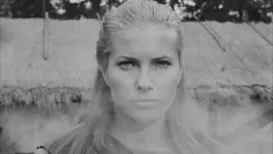 Задник до фильму"Сьома печатка" #176153