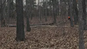 Задник до фильму"Полонянки" #639611