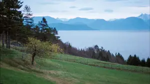 Задник до фильму"Осіння соната" #645076