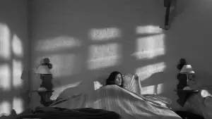 Задник до фильму"" #724090