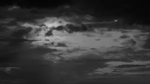 Задник до фильму"Бійцівська рибка" #720953