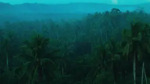 Задник до фильму"Дикі дні" #224122