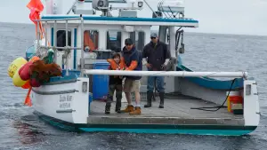 Задник до фильму"Манчестер біля моря" #624222