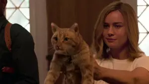 Задник до фильму"Капітан Марвел" #573673