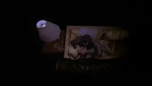 Задник до фильму"Загадкова шкіра" #637808