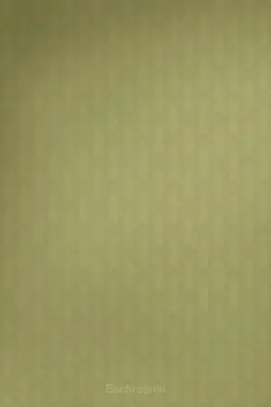 Постер до фильму"Backrooms: Залаштунки" #778490