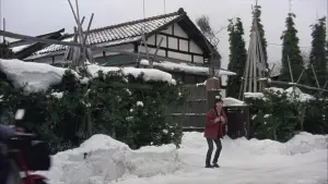 Задник до фильму"Свінг-герлз" #785777