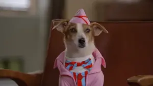 Задник до фильму"" #355529