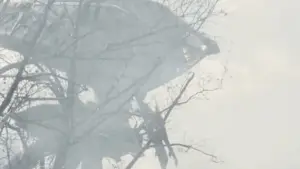 Задник до фильму"Війна світів" #608532