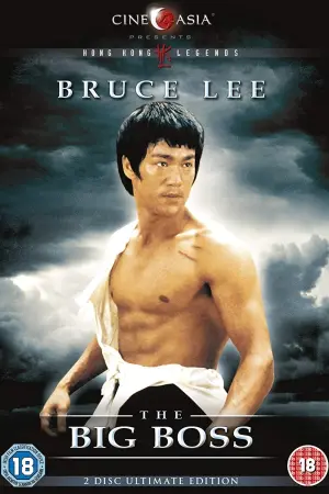 Постер до фильму"Великий бос" #91140