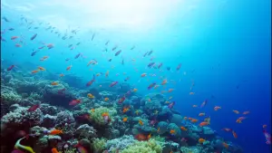 Задник до фильму"هورايزن" #793427