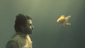 Задник до фильму"Пакет вечност" #773449