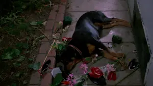 Задник до фильму"Вихідний день Ферріса Бюллера" #674756