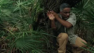 Задник до фильму"" #164390