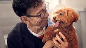 Задник до фильму"" #670832