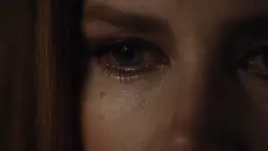 Задник до фильму"Нічні звірі" #506680