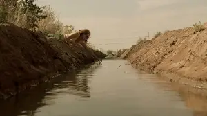 Задник до фильму"Ерін Брокович" #663528