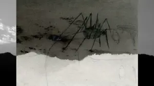 Задник до фильму"" #449277