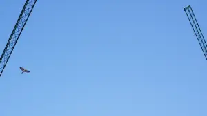 Задник до фильму"Qui Pogués Plorar Amb Els Teus Ulls" #801439