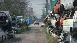 Задник до фильму"Феєрверк" #944431