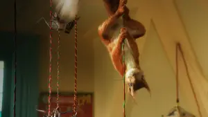 Задник до фильму"Флора та Улісс" #414604