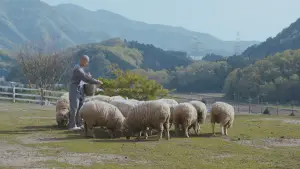 Задник до фильму"Crows Are White" #769665