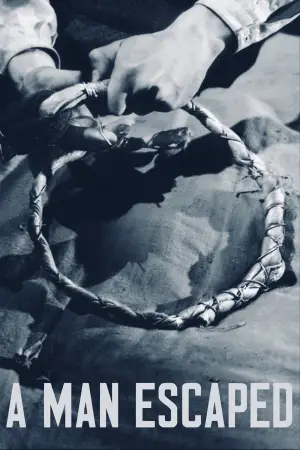 Постер до фильму"Засуджений до смерті втік" #751812