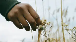 Задник до фильму"" #672583