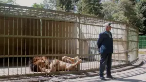 Задник до фильму"" #539099