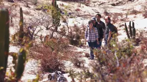 Задник до фильму"Пустеля" #304242