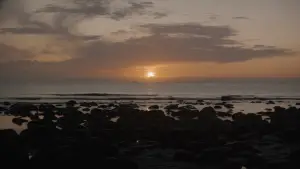 Задник до фильму"Дюна" #529650