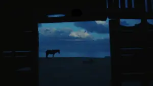 Задник до фильму"" #544238