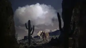 Задник до фильму"Трійця хрещених" #693502