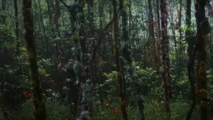 Задник до фильму"Анігіляція" #618584