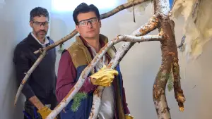 Задник до фильму"" #700275