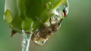 Задник до фильму"" #198319