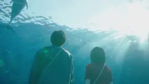 Задник до фильму"" #631773