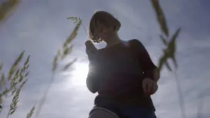 Задник до фильму"Літня книга" #597396