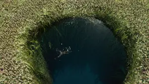 Задник до фильму"Життя Пі" #773180