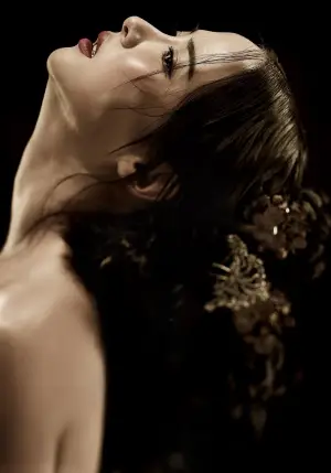 Постер до фильму"Наложниця" #745575