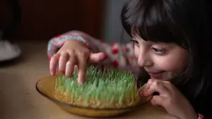 Задник до фильму"" #365542