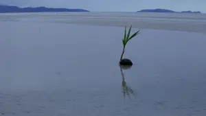 Задник до фильму"Тонка червона лінія" #807353