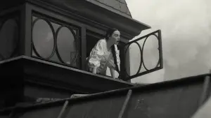 Задник до фильму"Бідолашні створіння" #160950