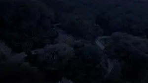 Задник до фильму"" #534045