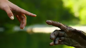 Задник до фильму"Люсі" #580055